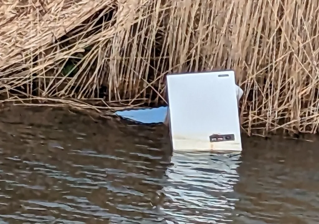 Chemicals in freezer dumped in Fen river ‘could threaten swans’