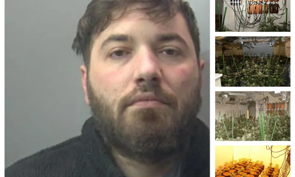 A review of the phone of Genc Giergie found photos of cannabis plants, including “selfies” with the yields and photographs of documents relating to properties in Bretton and Yaxley.