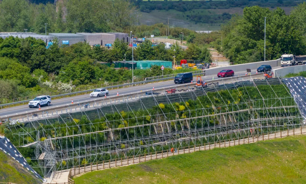 The £32m King’s Dyke crossing at Whittlesey opened in July of last year – six months ahead of schedule. The project team announced on April 12 that they were to begin a nine-week programme of “remedial work”. PHOTO: Terry Harris