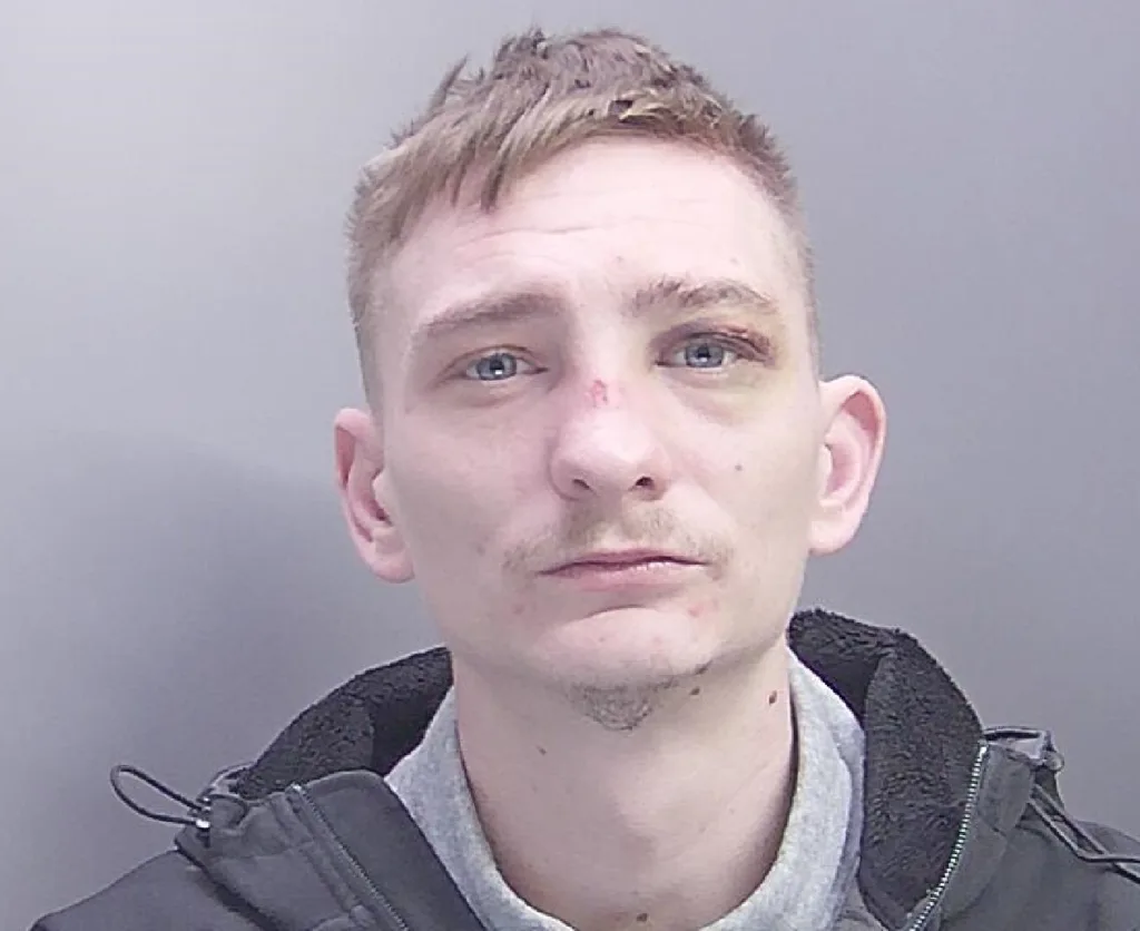 Dion Aldred, of Birchtree Avenue, Peterborough, was arrested after his girlfriend called police on 23 April last year. Aldred has been jailed for assault.