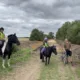 The photos show the works north of Butt Lane and the narrower section south of Butt Lane where trees are already being cleared. Those featured are Tessa Frost of Hall Farm Stables in Waterbeach on Bea and Violet Frost on Moppet. Josh Grantham (brown shirt) is the Infrastructure Campaigner for Camcycle and Gabriel Bienzobas (pictured in the north photo) is a Camcycle trustee and lead of Milton Cycling Campaign.