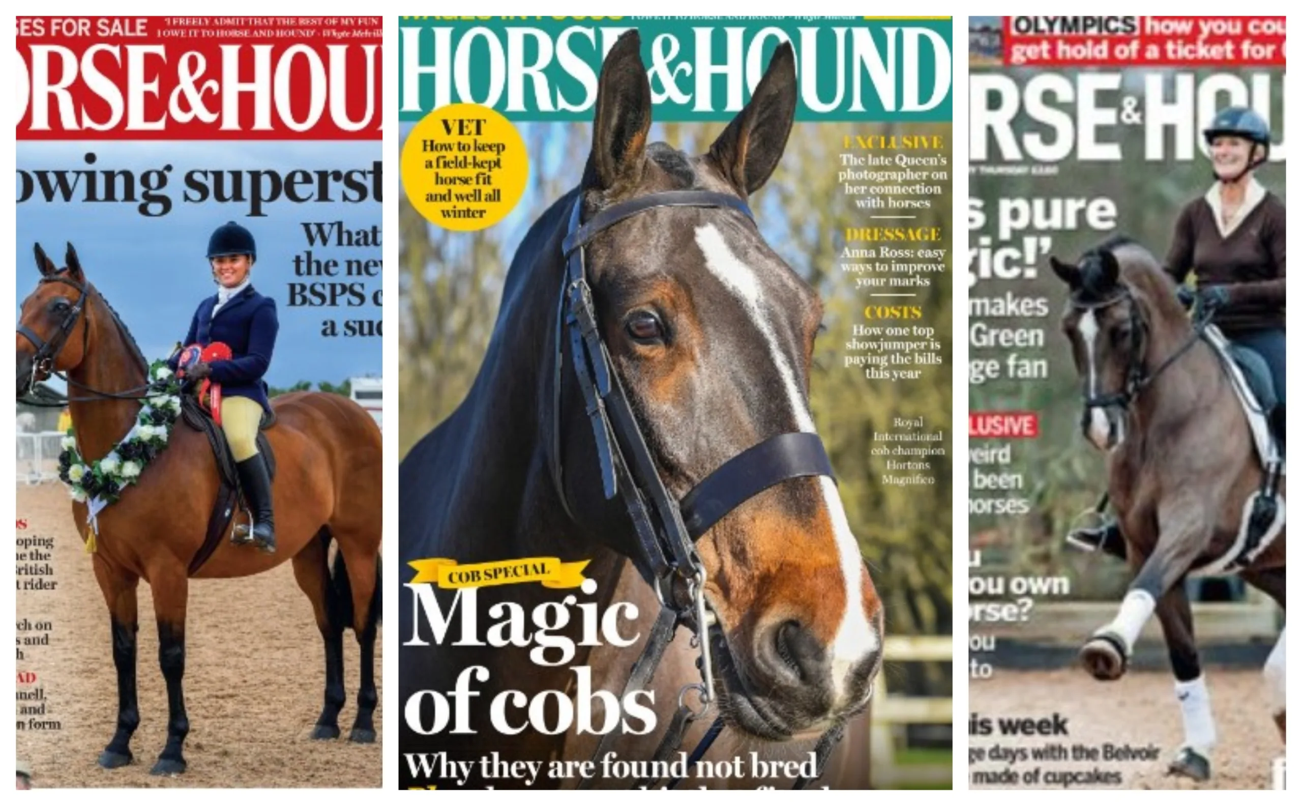 Founded in 1884, Horse & Hound describes itself as Britain’s equestrian weekly ‘Bible’. The magazine was among the first to suspect Kerry Palin of fraud over supposed fund raising for Australia bushfire victims.