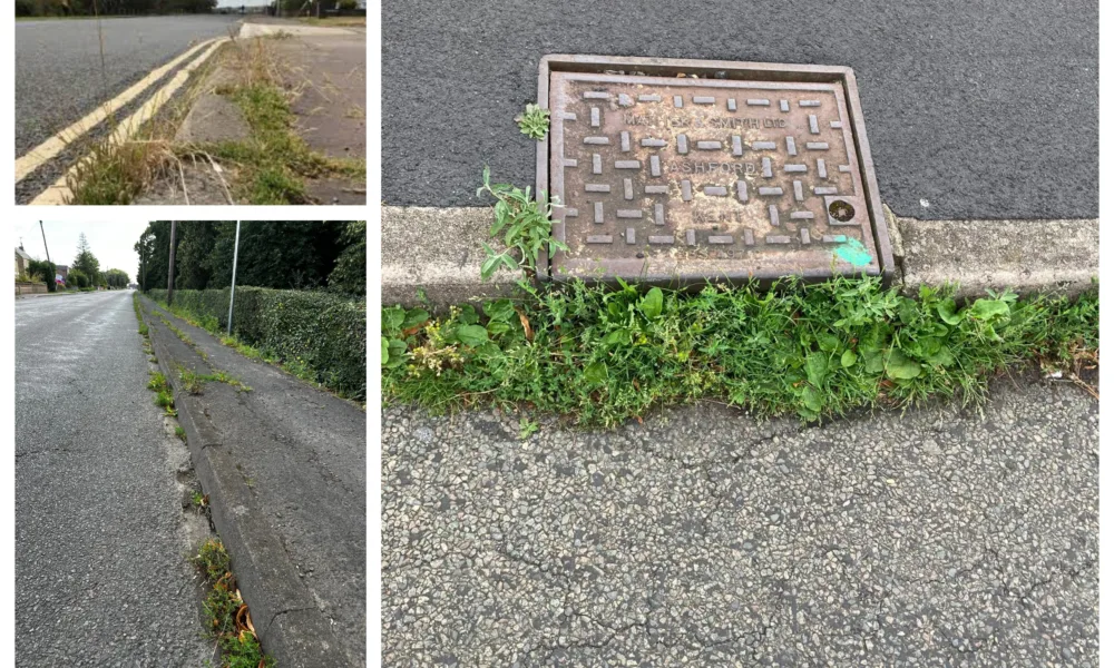 Photos published online include (top left) Great Paxton parish council, (bottom left) Wisbech St Mary parish council and (right) Yaxley parish council. All have written to the county council expressing their concern.