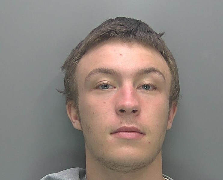 Luke Elmer, of Camborne Drive, Hemel Hempstead, was jailed for three years and two weeks.