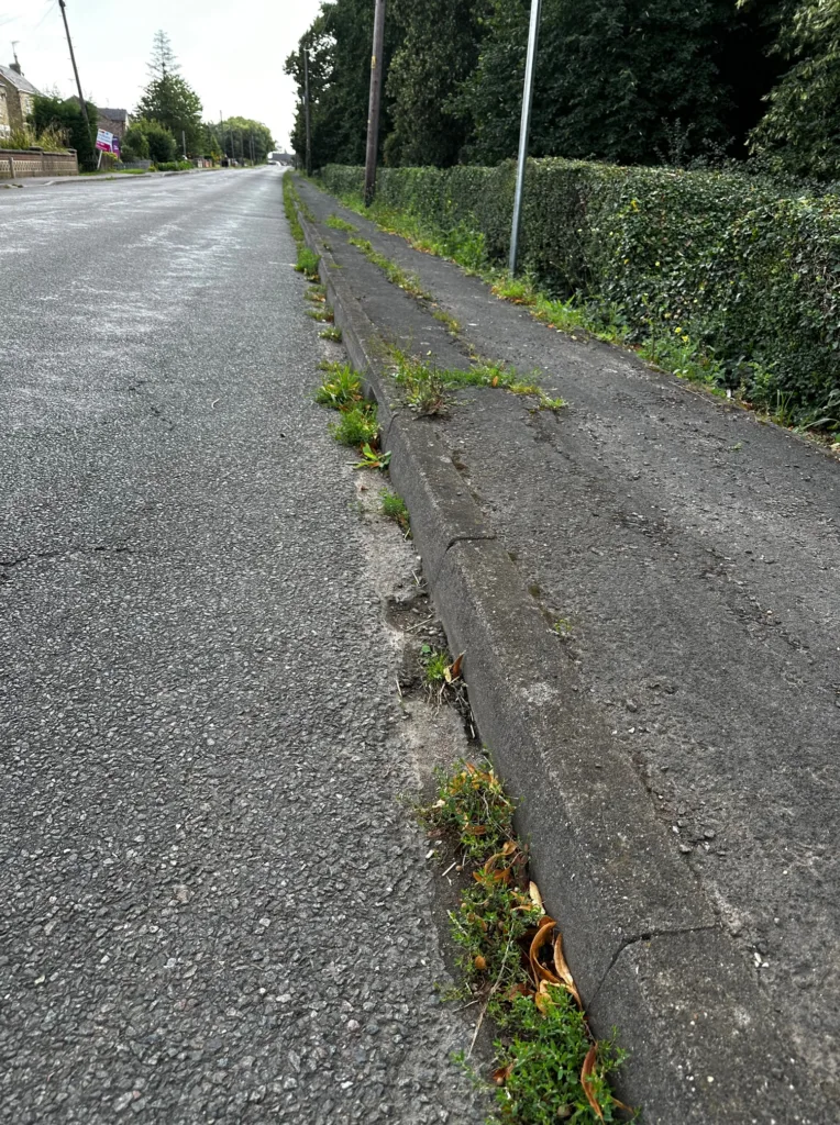 Weeds menace: Some recent photos provided of weeds out of control across Cambridgeshire. These from South Cambs