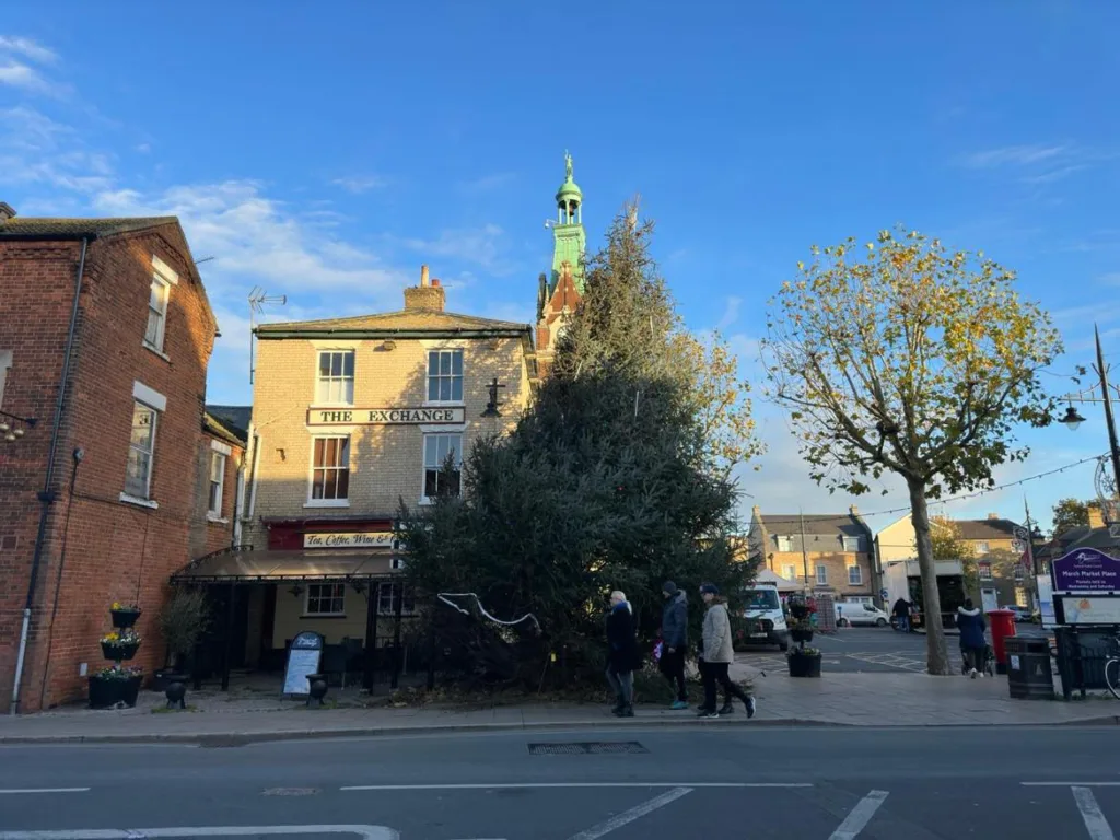 March Christmas Tree. PHOTO: Terry Harris