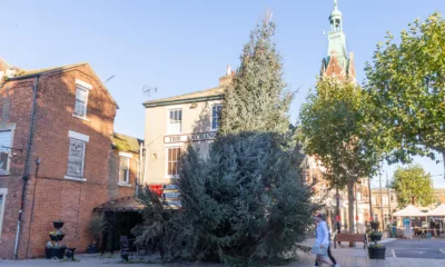 Christmas Tree, Town Centre, March Saturday 11 November 2023. Picture by Terry Harris.