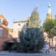 Christmas Tree, Town Centre, March Saturday 11 November 2023. Picture by Terry Harris.