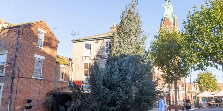 Christmas Tree, Town Centre, March Saturday 11 November 2023. Picture by Terry Harris.