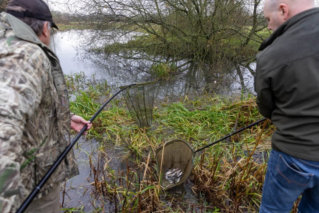 Environmental catastrophe: Pollution has killed thousands of fish in Peterborough streams PHOTO: Terry Harris