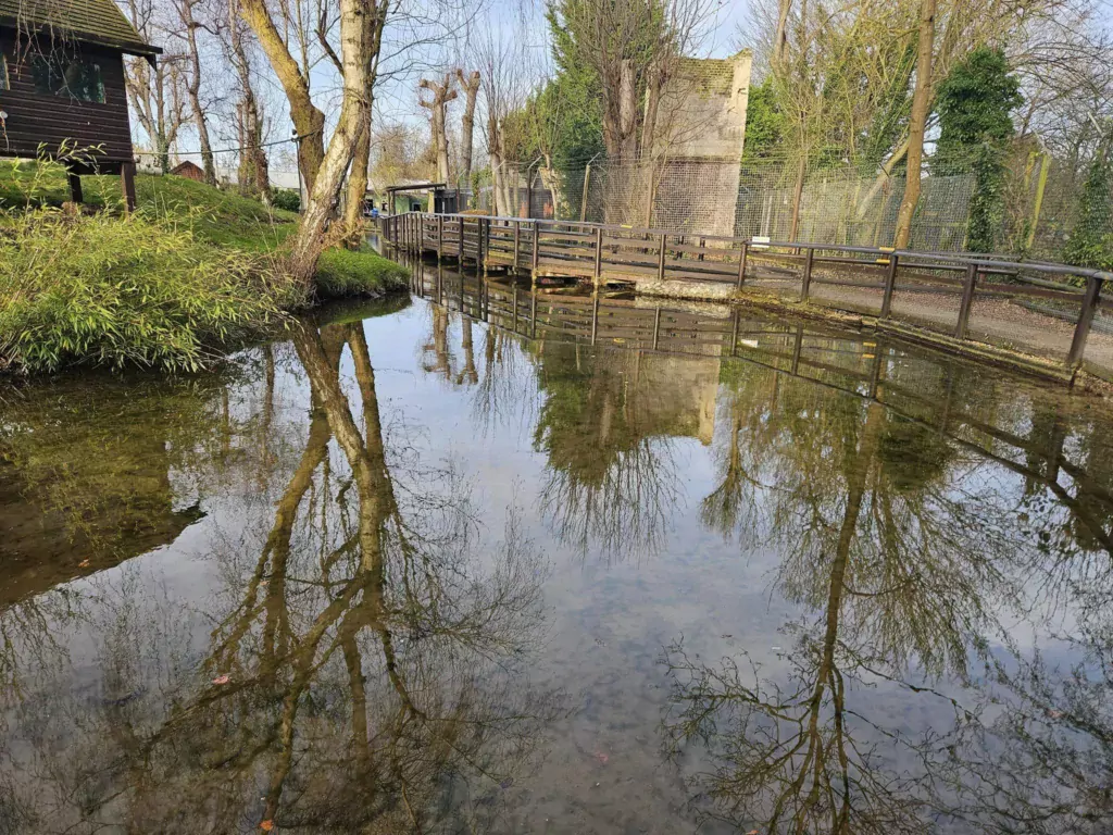 Shepreth Wildlife Park is one of the region’s top tourist attractions. It has a huge of variety of animals and is a great place to visit. PHOTO: Nicky Still 