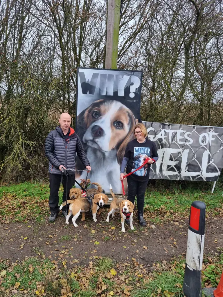 Camp Beagle wishes to close down MBR Acres, a huge beagle breeding factory near Huntingdon, which supplies about 2,000 puppies a year to toxicology testing laboratories across the UK PHOTO: Camp Beagle