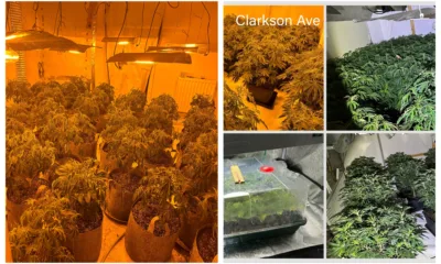 More arrests can be expected as police probe cannabis factories operating in Wisbech, across Peterborough and in the village of Doddington near March.