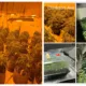 More arrests can be expected as police probe cannabis factories operating in Wisbech, across Peterborough and in the village of Doddington near March.