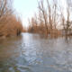 Welney Wash road flooded: Photo, courtesy of Welney Flood Watch, taken on February 11