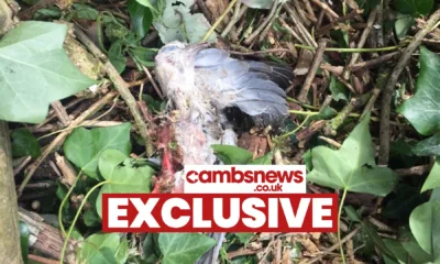 The site off Gunthorpe Road where workmen have begun clearing the site and caused an uproar among local residents. Residents have taken photos of the area being cleared and contacted councillors for an explanation.