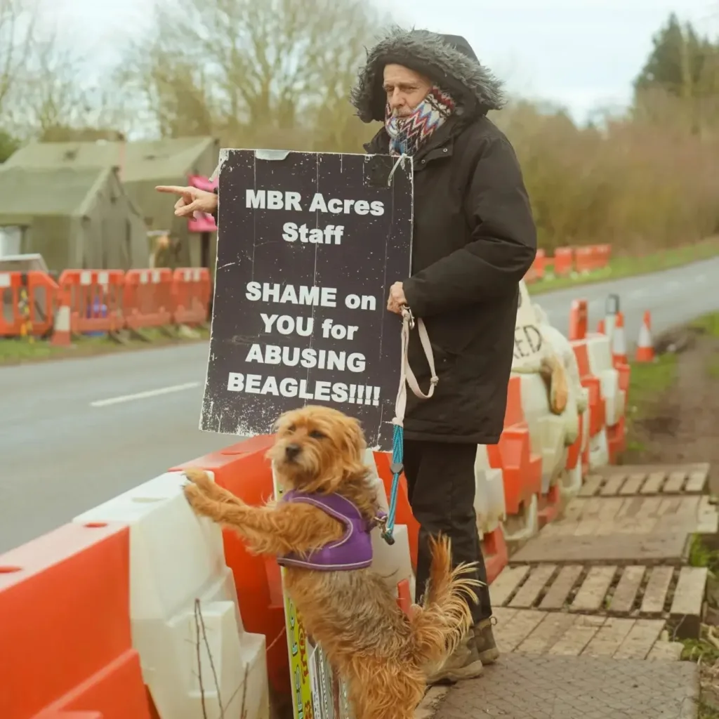 Camp Beagle wishes to close down MBR Acres, a huge beagle breeding factory near Huntingdon, which supplies about 2,000 puppies a year to toxicology testing laboratories across the UK. Above is John Curtin who has been banned from the area. PHOTO: Camp Beagle