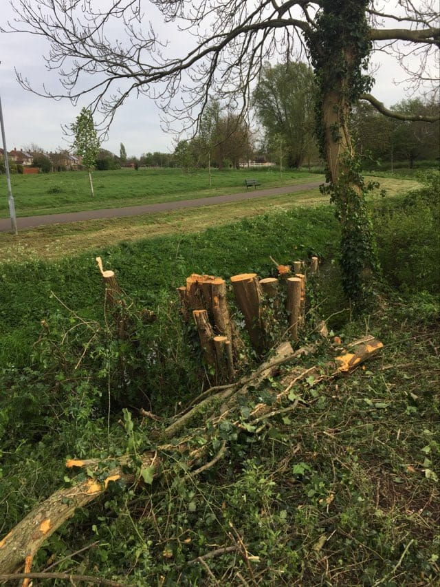 The site off Gunthorpe Road where workmen have begun clearing the site and caused an uproar among local residents. Residents have taken photos of the area being cleared and contacted councillors for an explanation. 