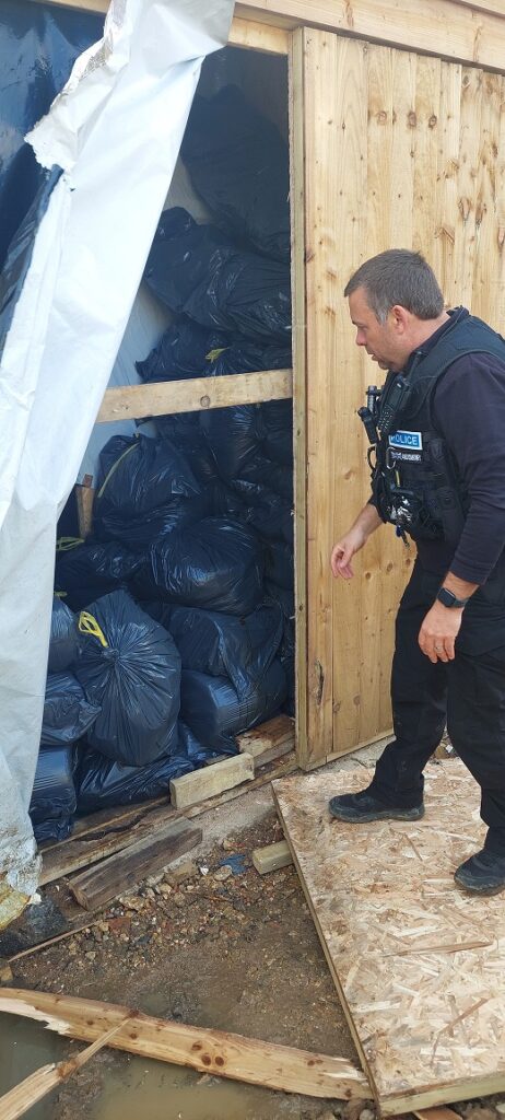 Two potential victims of modern slavery have been safeguarded as a cannabis factory worth more than £1.5million was seized in Graveley.