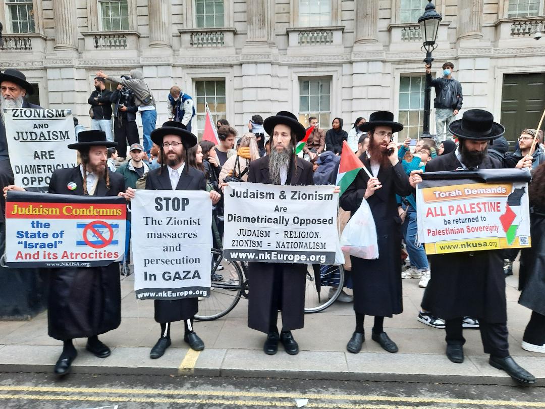 ‘We were a very mixed crowd on the Gaza demonstration. The strongest condemnation came from Hasidic Jews’ says ANGELA SPRINGER who attended Tuesday’s demonstration in London outside the gates of Downing Street