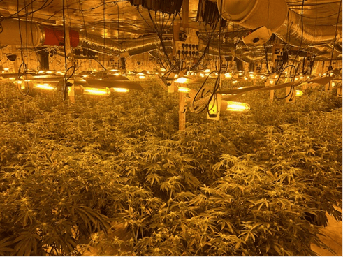 Police at the scene of a drugs raid at Harrier Way, Eagle Business Park, Yaxley. More than 2,000 cannabis plants, with an estimated street value of £1m, were discovered 