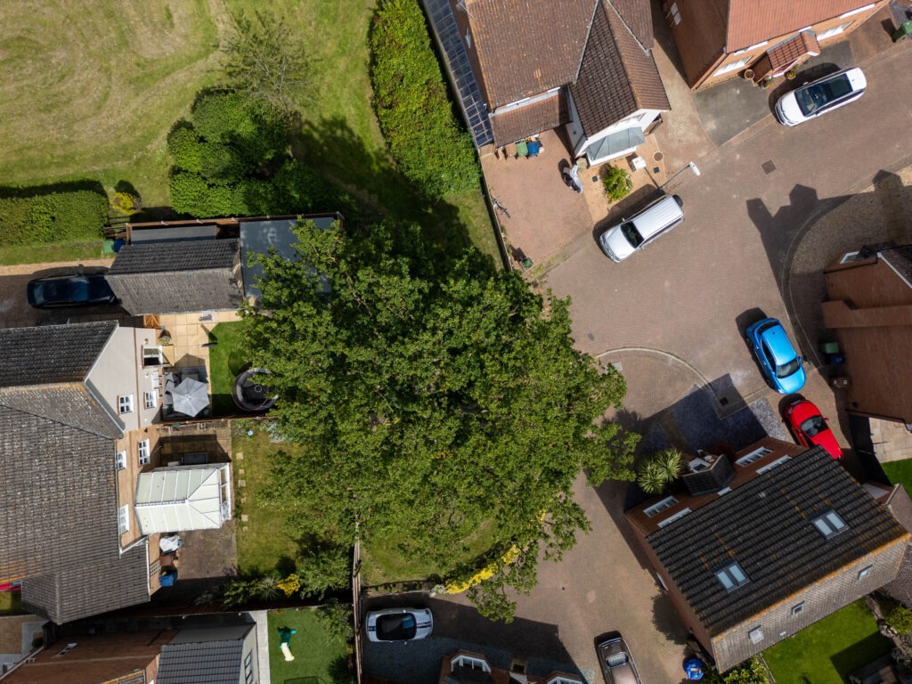 Residents and even the town council want Fenland District Council to refuse its own application to fell a 50- to 60-year-old protected oak tree off Bridle Close, Chatteris. PHOTO: Terry Harris