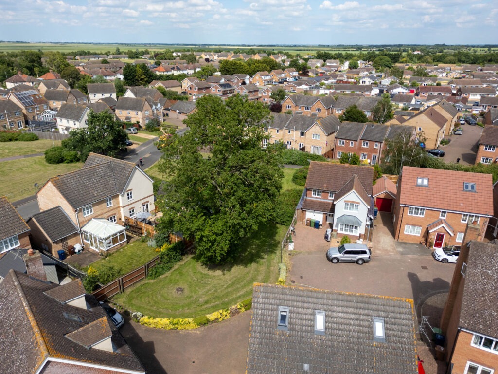 Residents and even the town council want Fenland District Council to refuse its own application to fell a 50- to 60-year-old protected oak tree off Bridle Close, Chatteris. PHOTO: Terry Harris 