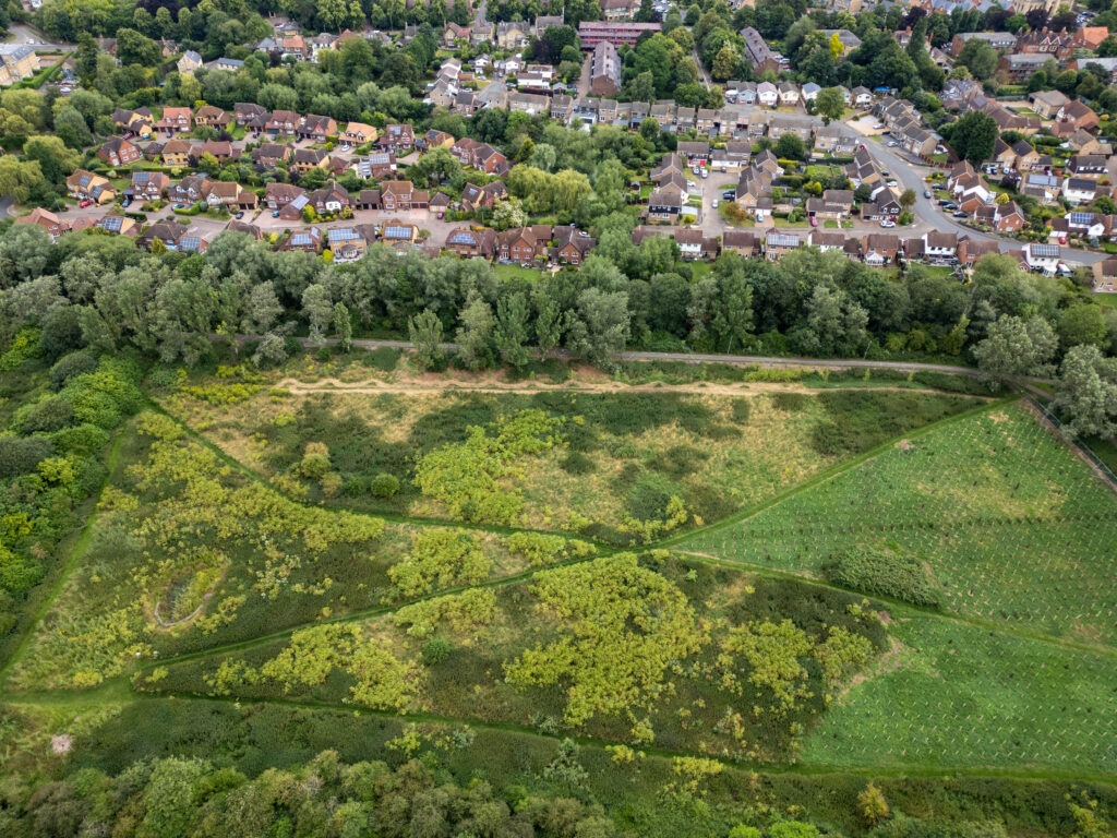 Peterborough City Council told CambsNews: ‘Following the recent identification of poisonous hemlock plants on land at Thorpe Meadows, we have worked to restrict access to this area.’ PHOTO: Terry Harris for CambsNews