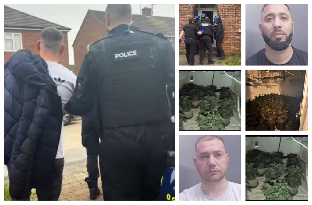 Marjus Gashi, 34, (right) and Albjon Kucuku, 31, (left) were arrested on 2 May at the former’s home in Shelton Road, Stanground, police found 285 cannabis plants worth up to £239,400.