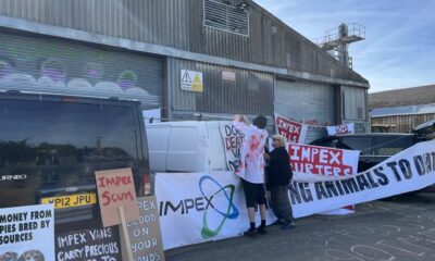 The protest is led by Free the MBR Beagles, which describes itself as a “grassroots animal rights campaign primarily focused on the grubby vivisection industry”.