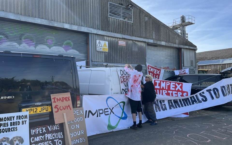 The protest is led by Free the MBR Beagles, which describes itself as a “grassroots animal rights campaign primarily focused on the grubby vivisection industry”.